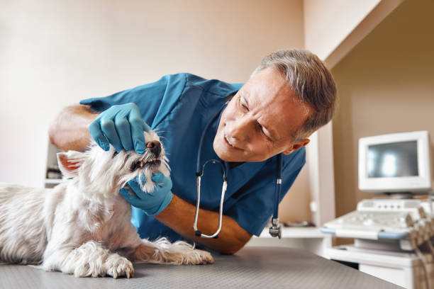 Best Pediatric Emergency Dentist in Eagle Lake, FL